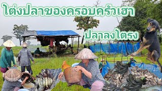 เฝ้าโต่งทั้งวันปลาลงเยอะมาก🐟🐟