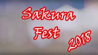 Sakura fest 2018 Uzhgorod / сакура фест 2018 Ужгород