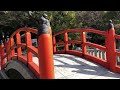 【 桜旅2019🌸中四国編 】3 26 山口 長門國一宮 住吉神社