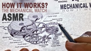 The Mechanical Wirst Watch How it Works ? | ASMR Blueprints With Soft spoken