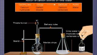 Reversible Reaction