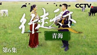 《行走天下——青海》 “青海文化印记”：多民族艺术的传承与融合 EP06【CCTV纪录】