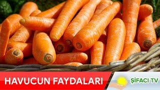 Havucun Faydaları Nelerdir? Mutlaka izlemeniz gereken bir video!