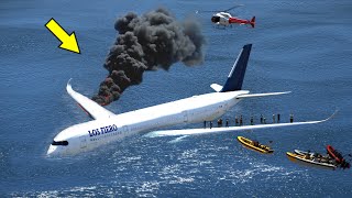 Passenger Airplane Emergency Landing on Water After Bird Strike in GTA 5