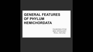 General features of phylum hemichordata