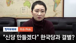 무소속 이언주 의원, 신당 창당... 당명은 '자유와 민주 4.0'