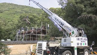 落雷で焼損の国宝・本殿の屋根　「落下の危険」と一部撤去　香川・神谷神社