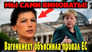 Мы сами виноваты! : как Вагенкнехт объяснила провал ЕС?