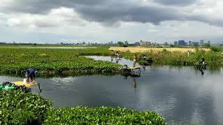 បឹងទំពន់ផ្លូវ៦០ម៉ែត្រភ្នំពេញ២០២០