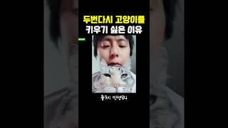 기안84가 말하는 두번다시 고양이를 키우기 싫은 이유