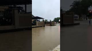 Banjir di Kg.Melayu Kluang, Johor 01 Mac 2023