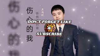 ▶️ 伤心的我听伤心的歌 Shang xin de wo ting shang xin de ge 王超然 Wang chao ran 【中/pinyin】