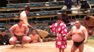 【三段目】錦富士 デビュー15連勝！