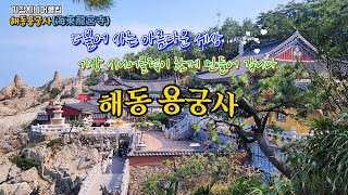 부산 기장군내에 있는 명소를 찾아 가볼만한 곳, 해동 용궁사 (부산기장 시니어클럽 미디어사업단)