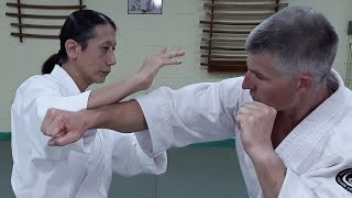 「打撃 vs 塩田剛三の合気道 」森 道治 師範 八段  Aikido training against modern attacks  AikidoYoshinkan AUS Mori shihan