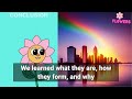 exploring and solving the mystery of rainbow colors fun and educational for kids 🗣🌈 kidslearning