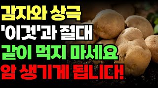 감자와 상극인 음식 꼭 알아두세요. 이걸 모르면 암이라는 심각한 결과까지 맞이할 수 있습니다.