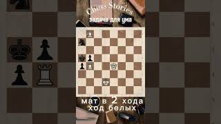 Задача для ума #chess #stories #задачи #шахматы #shorts