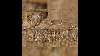 A mass grave of troops from the second Battle of Himera in Sicily in 409 B.C., and a horse. #museum