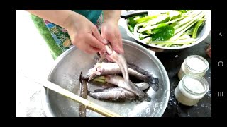 Hluas nkauj hmoob nplog siv tes txhom ntses pamkhaub    primitive fish catching skills