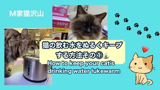 猫の飲む水をぬるくキープする方法その①⛲️(How to keep your cat's drinking water lukewarm)※初のナレーションは「え〜」ばかり😅💦