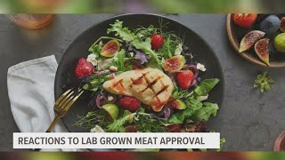 USDA approves plans to produce lab-grown meat