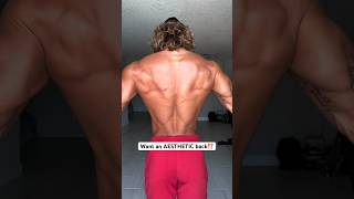 Do these to grow an aesthetic back (dumbbell workout)