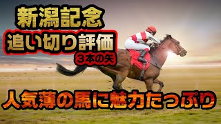 《追い切り評価》新潟記念2022〘調教診断3本の矢〙新潟芝2000mと相性の良い馬を探し求めて...