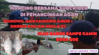 Pemancingan Agam//Mancing bersama SUBCRIBER//Ikan Babon Sampe Kawin bos quee....