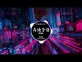 乌梅子酱 李荣浩 dj抖音 remix 【抖音热门歌曲】『没尝到过乌梅子酱的味道，是和歌词里唱的一样甜甜的吗。』抖音 hot tiktok douyin