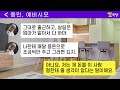 반전사연 시댁집 안방을 내줄테니 신혼집 살 돈을 아주버님한테 주라는 시모..남편놈은 눈치도 없이 내가 편할거라는데..거지소굴에서 탈출합니다 라디오드라마 사연라디오 카톡썰