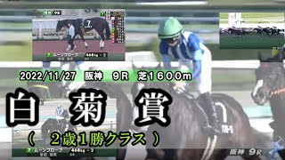 2022/11/27【パドック返し馬つき】阪神９R　白菊賞（２歳1勝クラス）　　☆ムーンプローブ　モーリス　＃レースは12分ころから