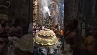 Theppa Utsavam at Madurai Meenakshi Sundareswarar Temple