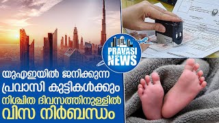 യുഎഇയില്‍ ജനിക്കുന്ന പ്രവാസി കുട്ടികള്‍ക്കും വിസ നിര്‍ബന്ധം l  uae  visa