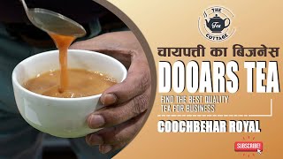 DOOARS TEA चाय पत्ती का बिजनेस | COOCHBEHAR ROYAL #teabusiness #chaiguru  #wholesalemarket