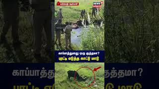 காப்பாத்துனது ஒரு குத்தமா ? புரட்டி எடுத்த காட்டு மாடு | Tamil News | Tamil News | N18S