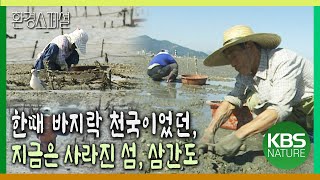 한때는 바지락 천국이었던, 그러나 지금은 사라진 섬 삼간도 이야기 [환경스페셜-삼간도는 바다를 꿈꾼다] / KBS20011107 방송