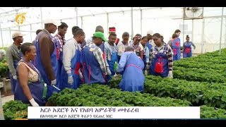 በአርሶ አደሮች እና አበባ አምራቾች መካከል ያለው የጥቅም ትስስር ምን ይመስላል?