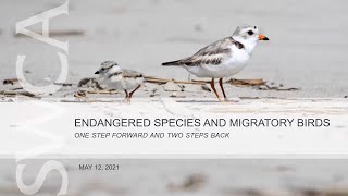 SWCA Webinar | Endangered Species and Migratory Birds: One Step Forward and Two Steps Back