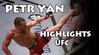 Petr Yan UFC Highlights 2018-2021