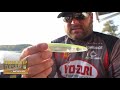 clent davis favorite topwater from spring to fall