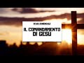 IL COMANDAMENTO DI GESÙ ❤️|| Sfaso Domenicale 14 maggio 2023