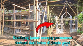 Review design kumbung jamur merang dengan tiang beton - Budidaya jamur merang