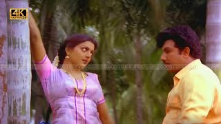 தென்னமர தோப்புக்குள்ளே குயிலே குயிலே பாடல் |Thennamara thoppukkulle kuyile kuyile song | Spb |Janaki