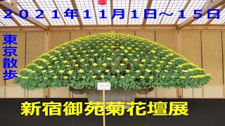 {東京散歩}新宿御苑で菊花壇展開催されていました