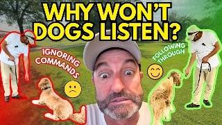 Stop These 10 Mistakes or Your Dog Will NEVER Obey!