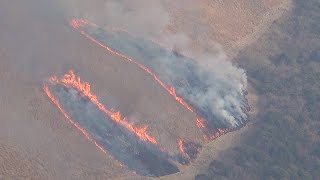 駆け上がる炎が春を呼ぶ　国内最大級のカルスト台地・秋吉台で山焼き