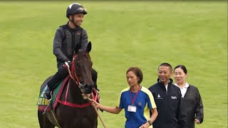 【2024 短途馬錦標 Sprinters Stakes】黃楨淘日本直擊每日戰報（9月25日）