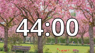 44 Minutes Timer with Music | Cherry Blossom Timer