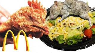 Top 10 Disgusting Things Found In McDonald Foods